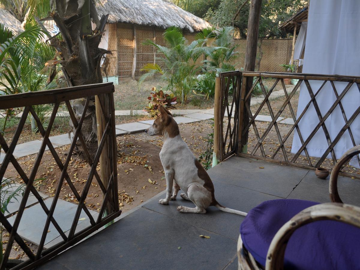 Tutti Garden Bungalows Hotel Mormugao Exterior photo